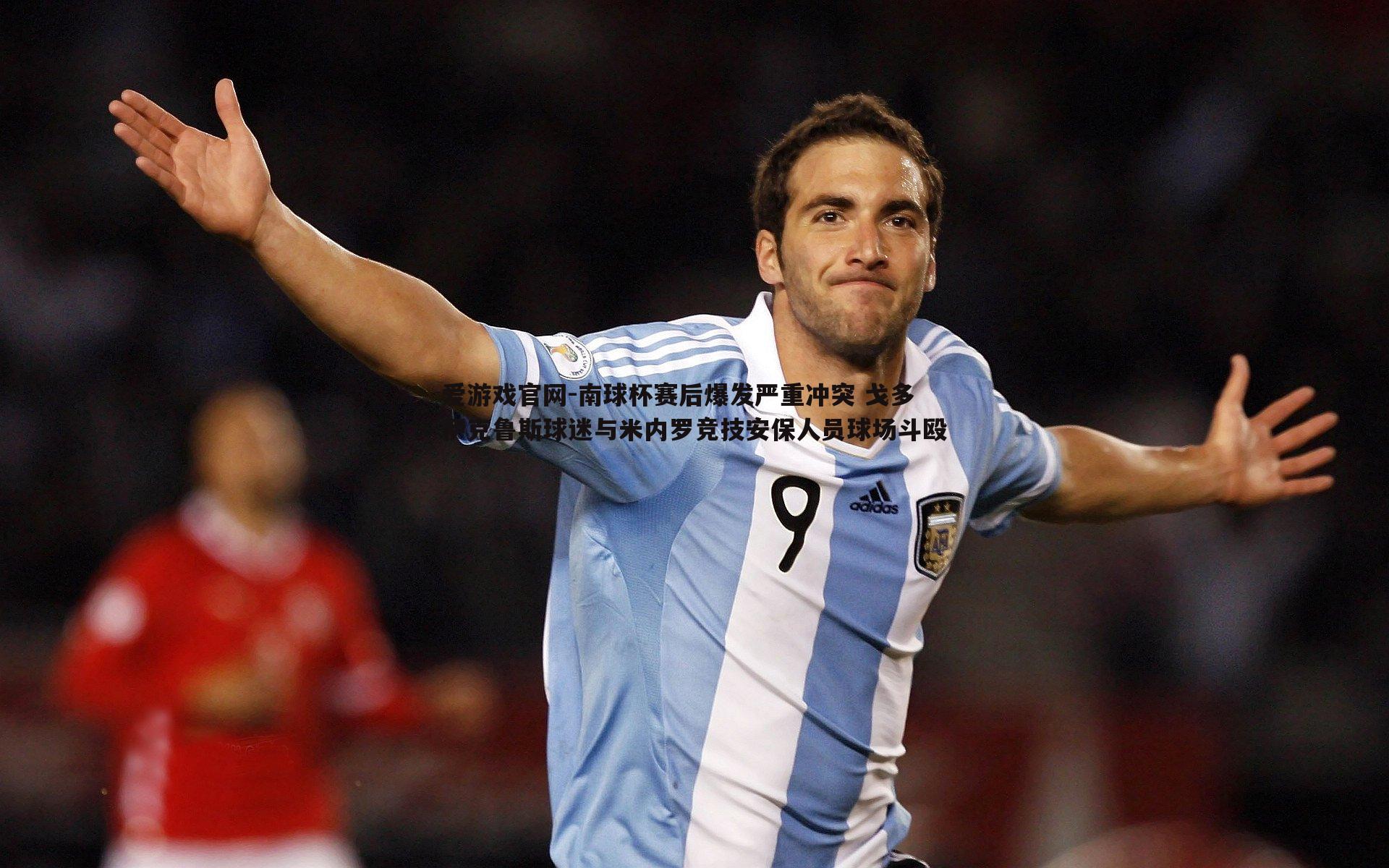 南球杯赛后爆发严重冲突 戈多伊克鲁斯球迷与米内罗竞技安保人员球场斗殴